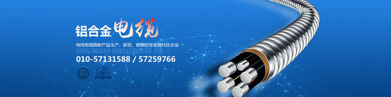 滄州市統(tǒng)計(jì)工作規(guī)范化建設(shè)推進(jìn)會(huì)在華倫公司順利召開！